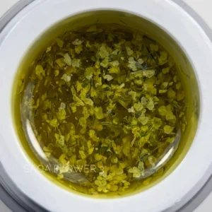 Saga Professional Flower Gel Nr.03 5g.