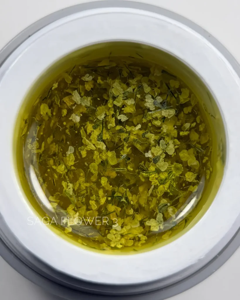 Saga Professional Flower Gel Nr.03 5g.