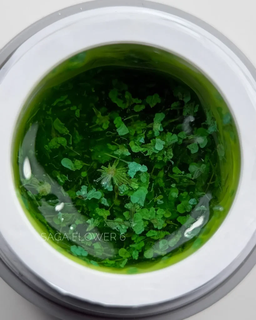 Saga Professional Flower Gel Nr.06 5g.